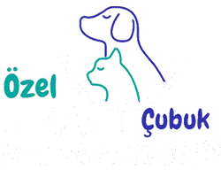 veteriner